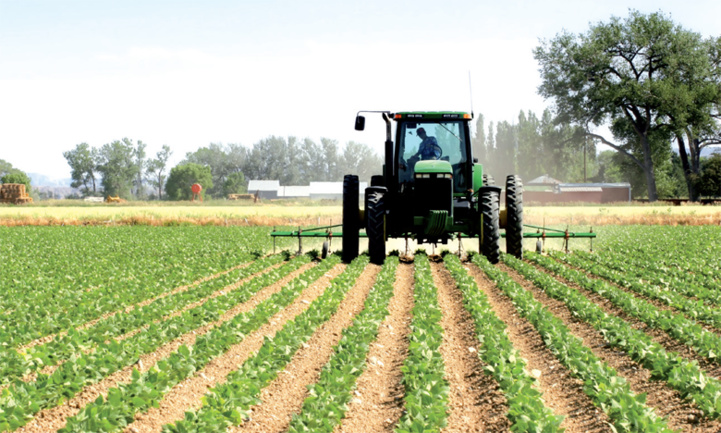 Banque mondiale : Un nouvel appui à la stratégie Génération Green Banque mondiale : Un nouvel appui à la stratégie Génération Green