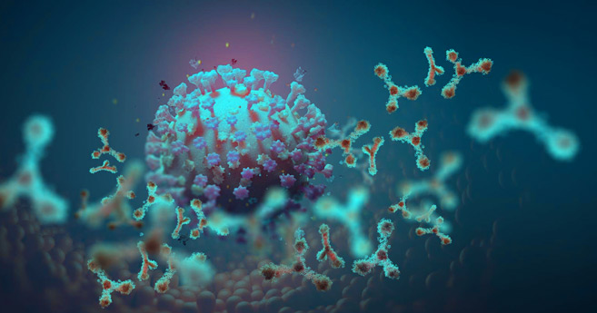 Covid-19 : La variante sud-africaine inquiète Covid-19 : La variante sud-africaine inquiète