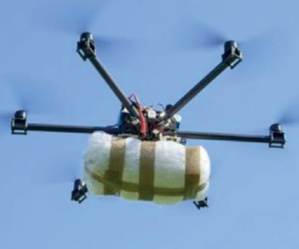 Légalisation du cannabis : Les enseignements du modèle israélien Légalisation du cannabis : Les enseignements du modèle israélien