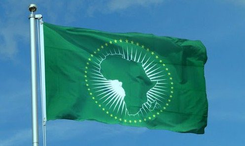 Plaidoyer pour une grande mobilisation du secteur privé africain, gage de réussite dans la mise en œuvre de la ZLECAF Plaidoyer pour une grande mobilisation du secteur privé africain, gage de réussite dans la mise en œuvre de la ZLECAF
