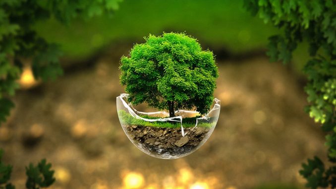 12 bonnes nouvelles pour l'environnement au Maroc en 2020 12 bonnes nouvelles pour l'environnement au Maroc en 2020