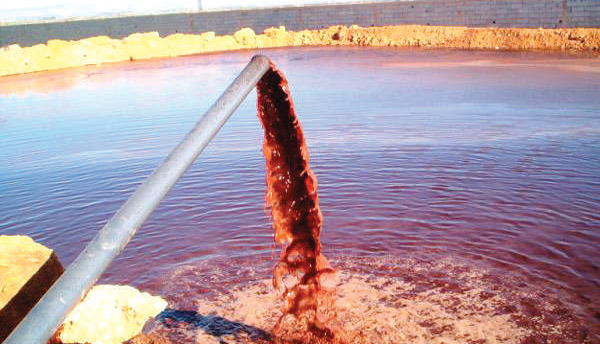 Béni Mellal-Khénifra : Les margines, véritable danger pour l’environnement