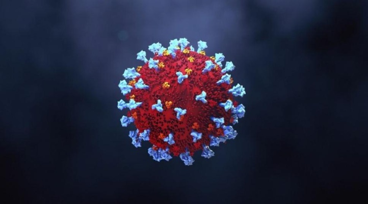 Covid-19 bilan bimensuel : le taux de reproduction du virus se stabilise à 0,88