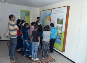 Métiers verts : des efforts à faire pour favoriser la création d’emplois Métiers verts : des efforts à faire pour favoriser la création d’emplois