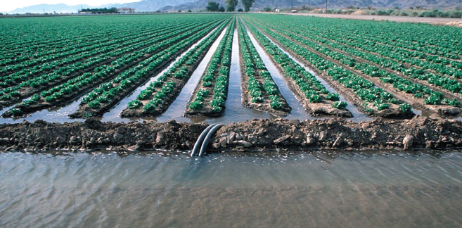 Province d’Essaouira : Campagne agricole dans de «très bonnes conditions»