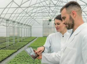 Startups vertes / Programme d’incubation : Le pari de l’African Youth Climate Hub