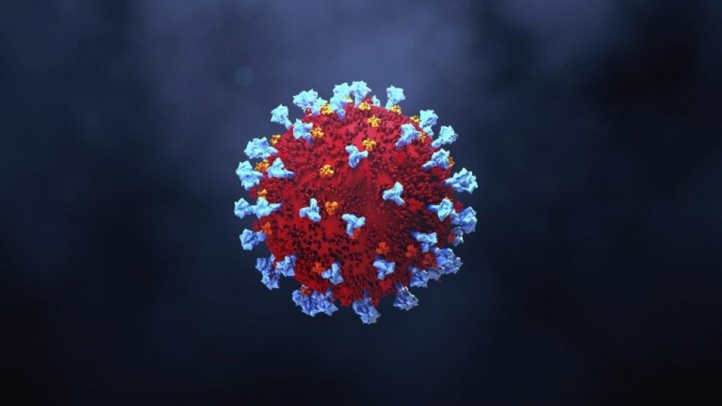 Officiel : Découverte d'un un nouveau variant du Covid-19 en Tunisie Officiel : Découverte d'un un nouveau variant du Covid-19 en Tunisie