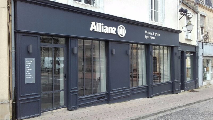 Assurances : le géant allemand Allianz accusé de bafouer le droit international Assurances : le géant allemand Allianz accusé de bafouer le droit international