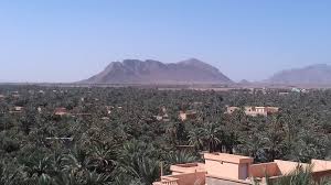 Les autorités de Figuig se réunissent avec les agriculteurs menacés d’expulsion par l’Algérie Les autorités de Figuig se réunissent avec les agriculteurs menacés d’expulsion par l’Algérie