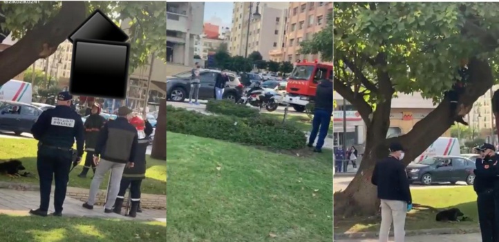 Suicide d’un enseignant contractuel : le démenti de la DGSN Suicide d’un enseignant contractuel : le démenti de la DGSN