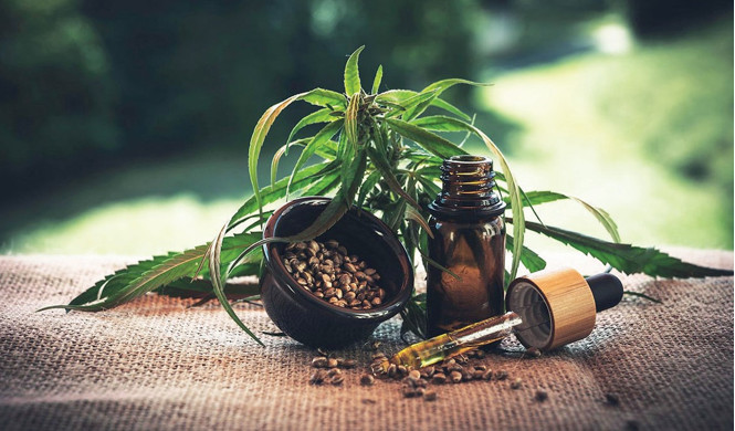 Médecine, cuisine, cosmétiques : Cannabis, l’or vert du Maroc à multiples usages Médecine, cuisine, cosmétiques : Cannabis, l’or vert du Maroc à multiples usages
