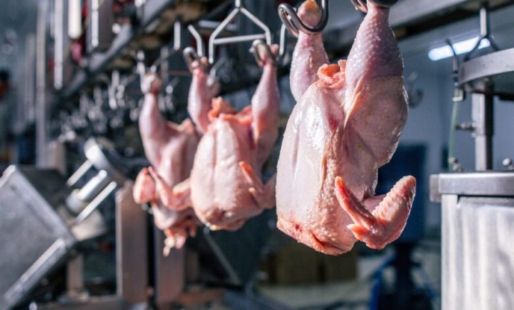Les autorités françaises démentent l'interdiction de l'abattage halal des volailles