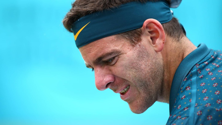 De nouveau sur le billard… Et de quatre pour Del Potro ! De nouveau sur le billard… Et de quatre pour Del Potro !