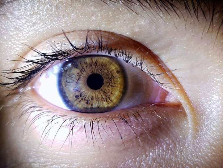 Les yeux, carte d’identité du futur ?