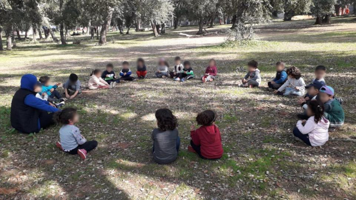 Habitants de Rabat: L’appel de la Forêt de Maâmoura Habitants de Rabat: L’appel de la Forêt de Maâmoura