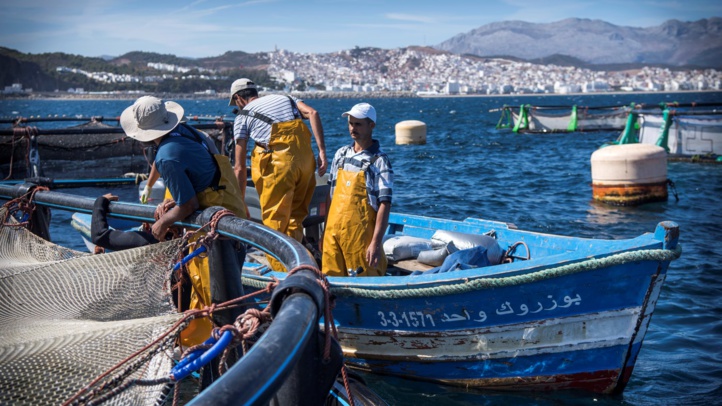 Pêche: Un début d'année marqué par la hausse de la valeur des produits