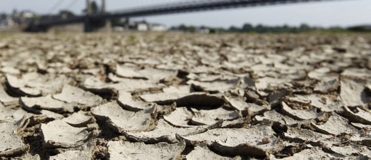 2020 est l'année la plus chaude jamais enregistrée au Maroc 2020 est l'année la plus chaude jamais enregistrée au Maroc