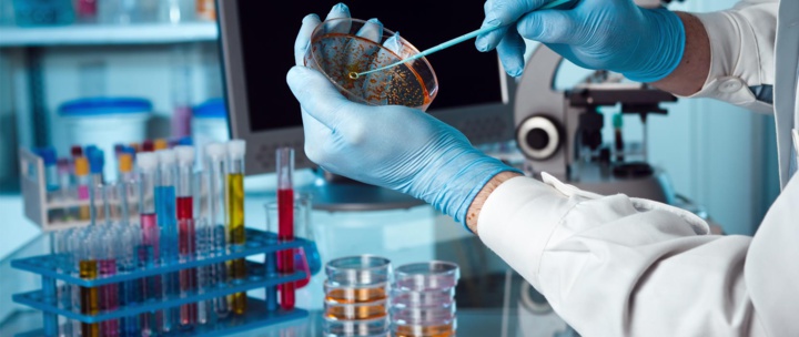 Recherches biomédicales : le décret d’application publié au B.O Recherches biomédicales : le décret d’application publié au B.O