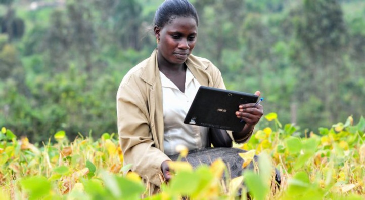 ​La numérisation de l’agriculture sur le continent: Les nouvelles opportunités pour doper les économies des Etats