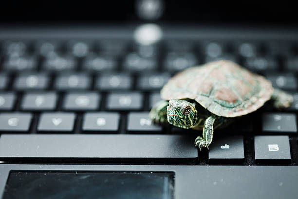 Classement mondial : le débit internet marocain en mode tortue Classement mondial : le débit internet marocain en mode tortue