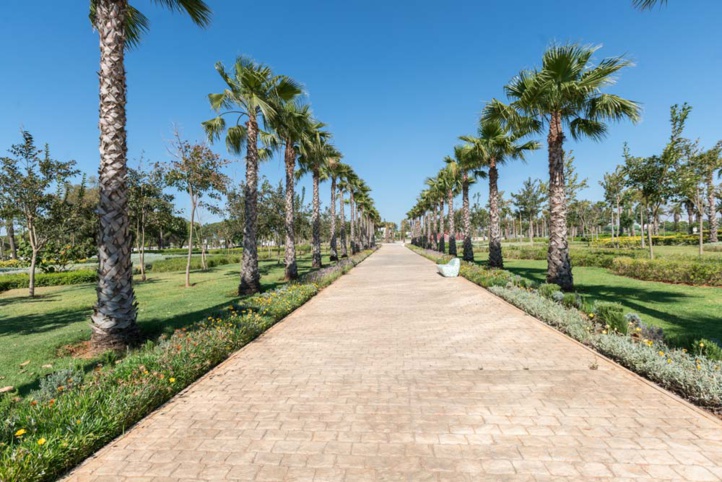 La capitale bientôt dotée d’un système de surveillance pour protéger sa composante verte La capitale bientôt dotée d’un système de surveillance pour protéger sa composante verte