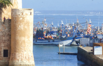 El Jadida / INDH: 98 projets pour 35 millions de dirhams El Jadida / INDH: 98 projets pour 35 millions de dirhams