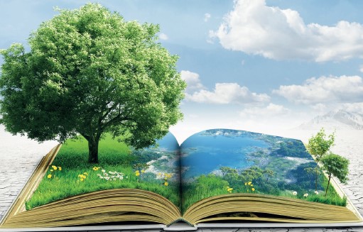 Environnement: La durabilité consacrée par le Nouveau Modèle de Développement Environnement: La durabilité consacrée par le Nouveau Modèle de Développement