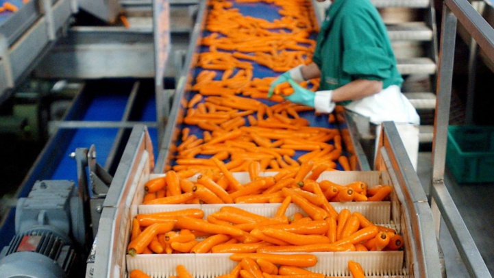 Des perspectives prometteuses pour l'industrie agroalimentaire marocaine Des perspectives prometteuses pour l'industrie agroalimentaire marocaine