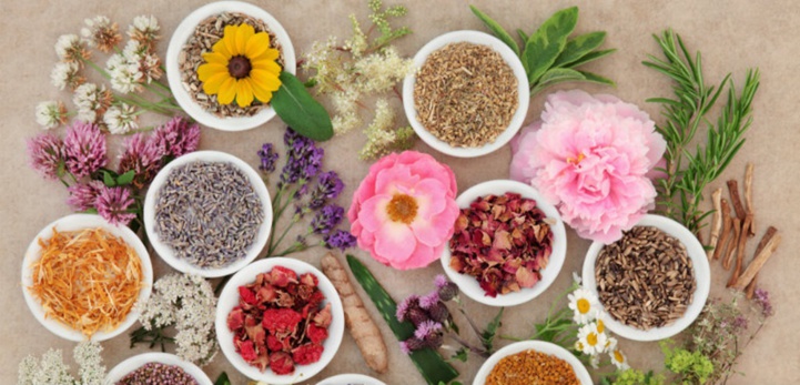 La 3e édition du programme de recherche Valorisation des Plantes Médicinales et Aromatiques lancée La 3e édition du programme de recherche Valorisation des Plantes Médicinales et Aromatiques lancée