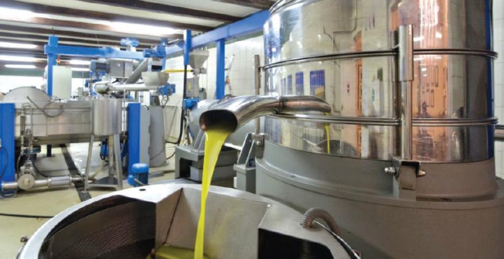 Marrakech : Mise à niveau environnementale de l’oléiculture Marrakech : Mise à niveau environnementale de l’oléiculture