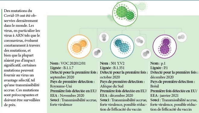 La vaccination des jeunes, c’est pour bientôt ?