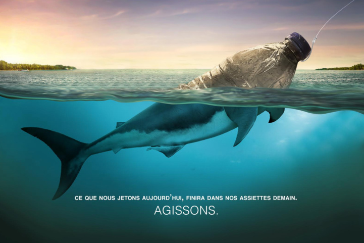 La Fondation Mohammed VI se mobilise pour la protection des mers et des océans La Fondation Mohammed VI se mobilise pour la protection des mers et des océans