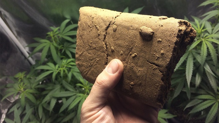 Rapport mondial sur les drogues : Le Maroc leader des saisies en Afrique Rapport mondial sur les drogues : Le Maroc leader des saisies en Afrique