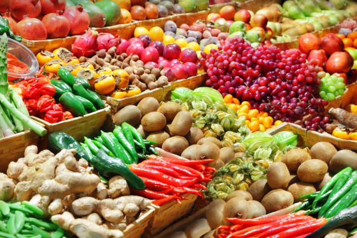  FAO : Vers la promotion de la durabilité du secteur horticole marocain