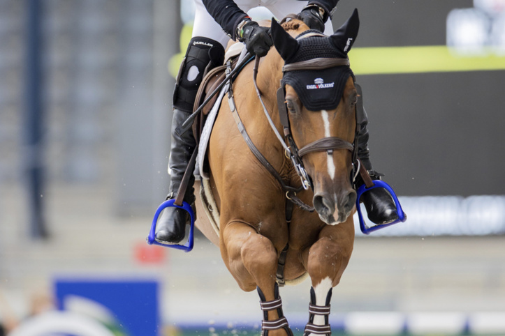 JO : La cocaïne disqualifie un cavalier australien ! JO : La cocaïne disqualifie un cavalier australien !
