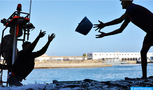 Port d'Essaouira : Les débarquements de la pêche côtière et artisanale en baisse de 55% à fin juin 
