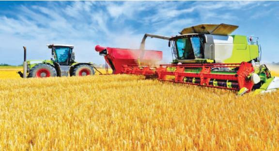 Campagne céréalière : Une « très bonne » récolte de 103,2 Mqx Campagne céréalière : Une « très bonne » récolte de 103,2 Mqx