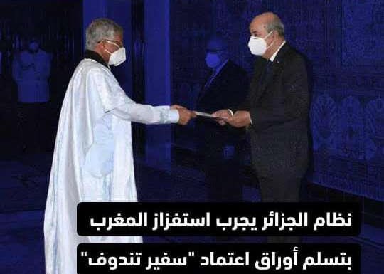 Une provocation algérienne irrite les internautes Une provocation algérienne irrite les internautes