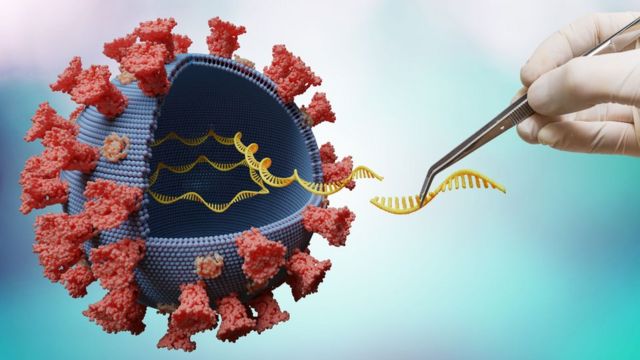 Delta Plus, ce variant Covid à la puissance 2 