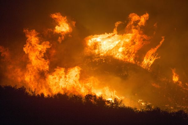 Algérie : Des dizaines de morts dans des incendies de forêts Algérie : Des dizaines de morts dans des incendies de forêts