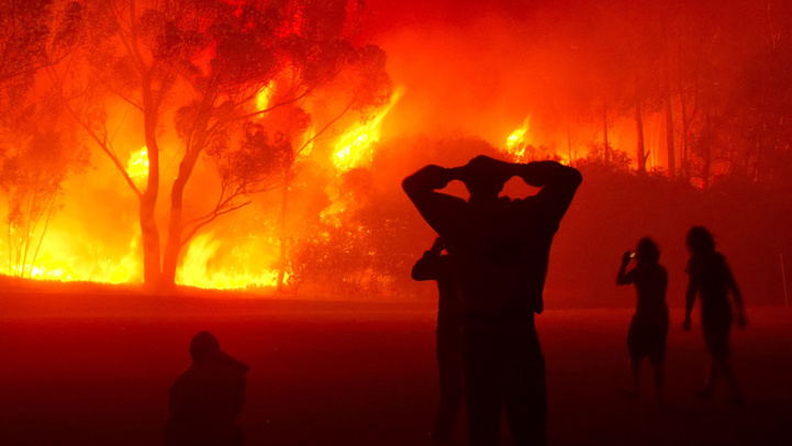 Incendies de forêts : Le pourtour méditerranéen proie des flammes