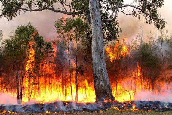 La tristesse ronge les Marocains suite aux flammes de Chefchaouen