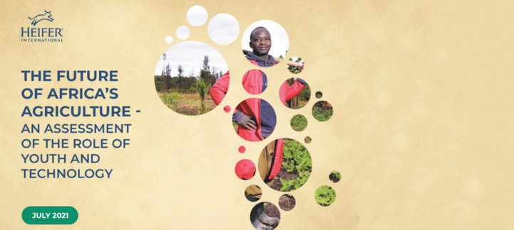 Afrique / Rapport sur les innovations agro-technologiques : Dynamiser le secteur pour offrir des opportunités aux jeunes