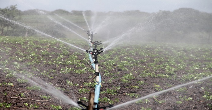 Boujdour : Aménagement hydro-agricole