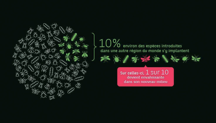 Espèces exotiques envahissantes : Une menace socioéconomique croissante et silencieuse Espèces exotiques envahissantes : Une menace socioéconomique croissante et silencieuse