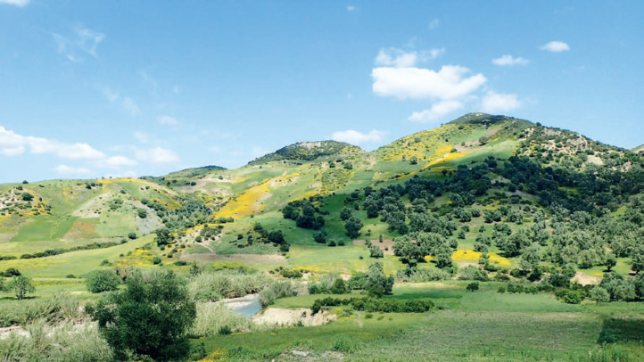 Elections 2021 : La vision verte du Parti de l’Istiqlal Elections 2021 : La vision verte du Parti de l’Istiqlal