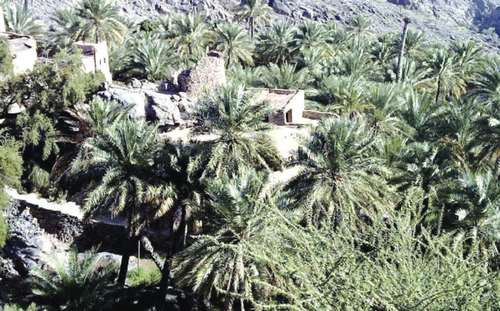 Marrakech / ENA : Solutions créatives de lutte contre la désertification Marrakech / ENA : Solutions créatives de lutte contre la désertification