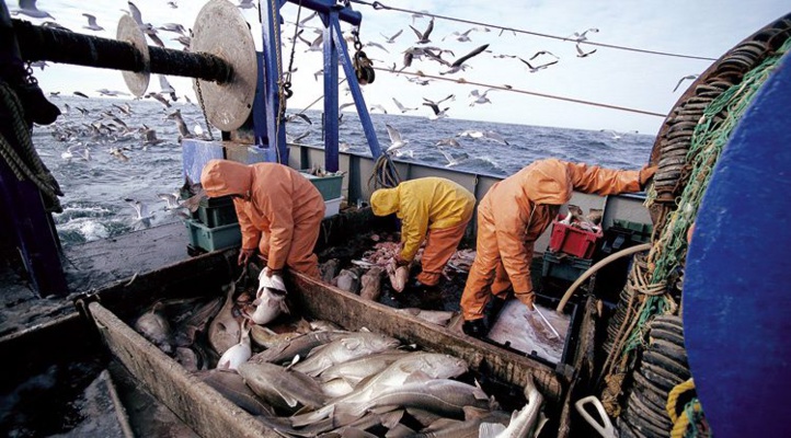 E-commerce : Agadir Haliopole Cluster lance un programme de formation des produits de la pêche