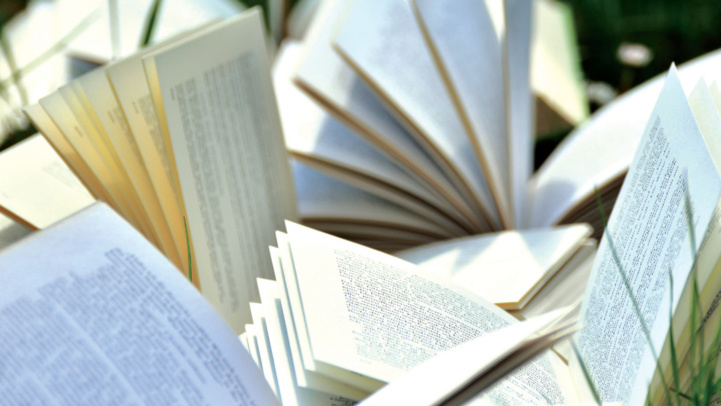 Métier du livre : Une nouvelle fiction, l’édition indépendante Métier du livre : Une nouvelle fiction, l’édition indépendante