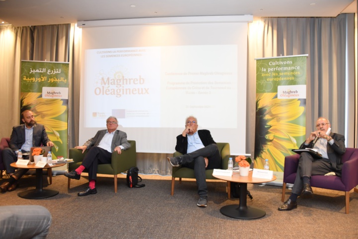 Le Maroc ambitionne de quadrupler sa production d'oléagineux d'ici 2030 Le Maroc ambitionne de quadrupler sa production d'oléagineux d'ici 2030